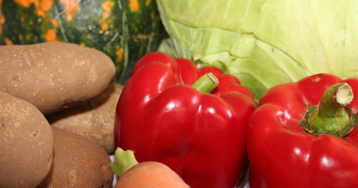 Viroqua Library Hosts Seed Swap & Growing Expo to Promote Gardening