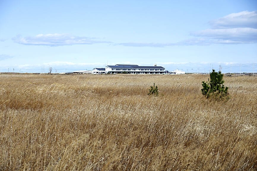 China Nuclear Power Expansion Continues Despite Setbacks