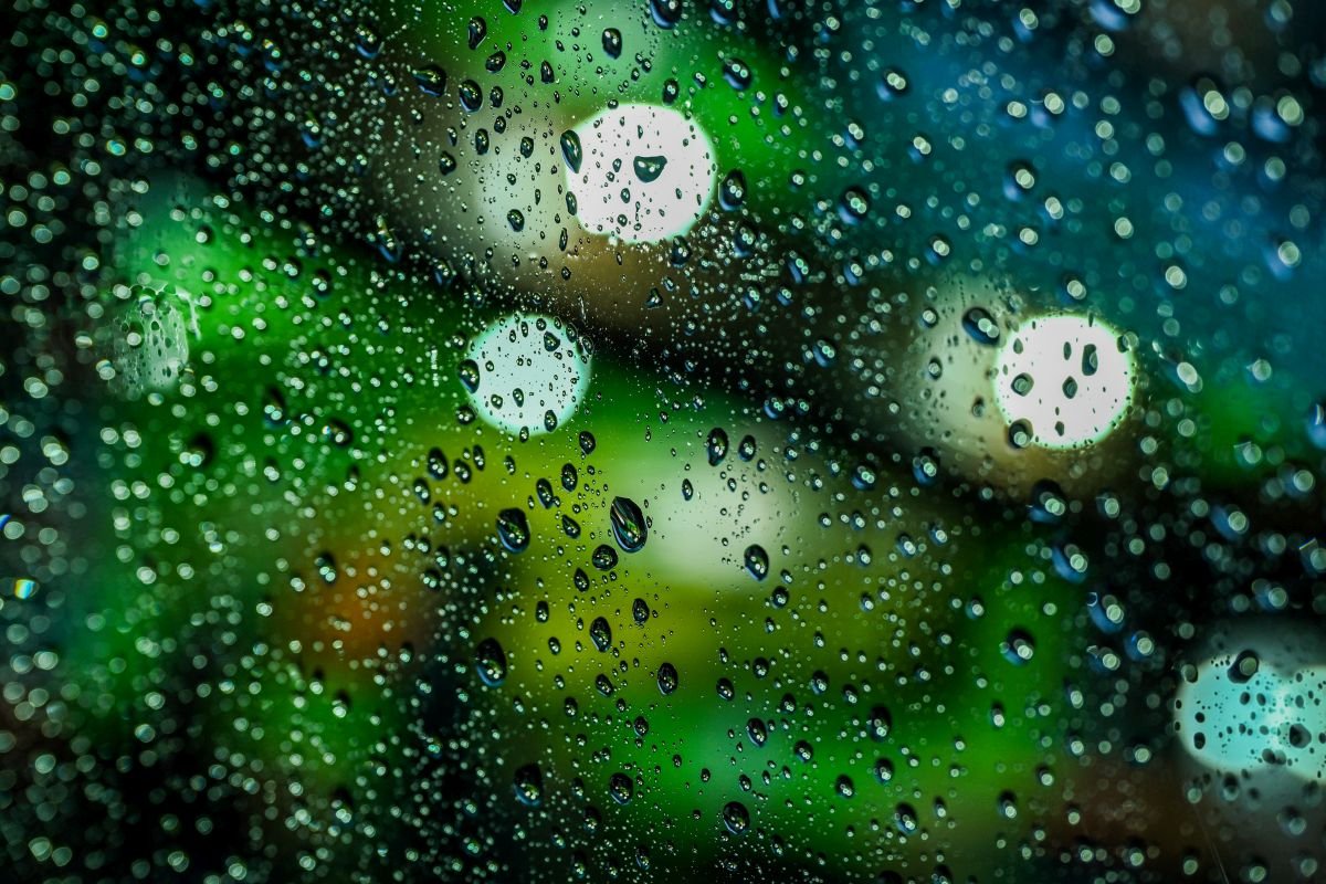 Rain and Snow Predicted for Kashmir in Coming Days