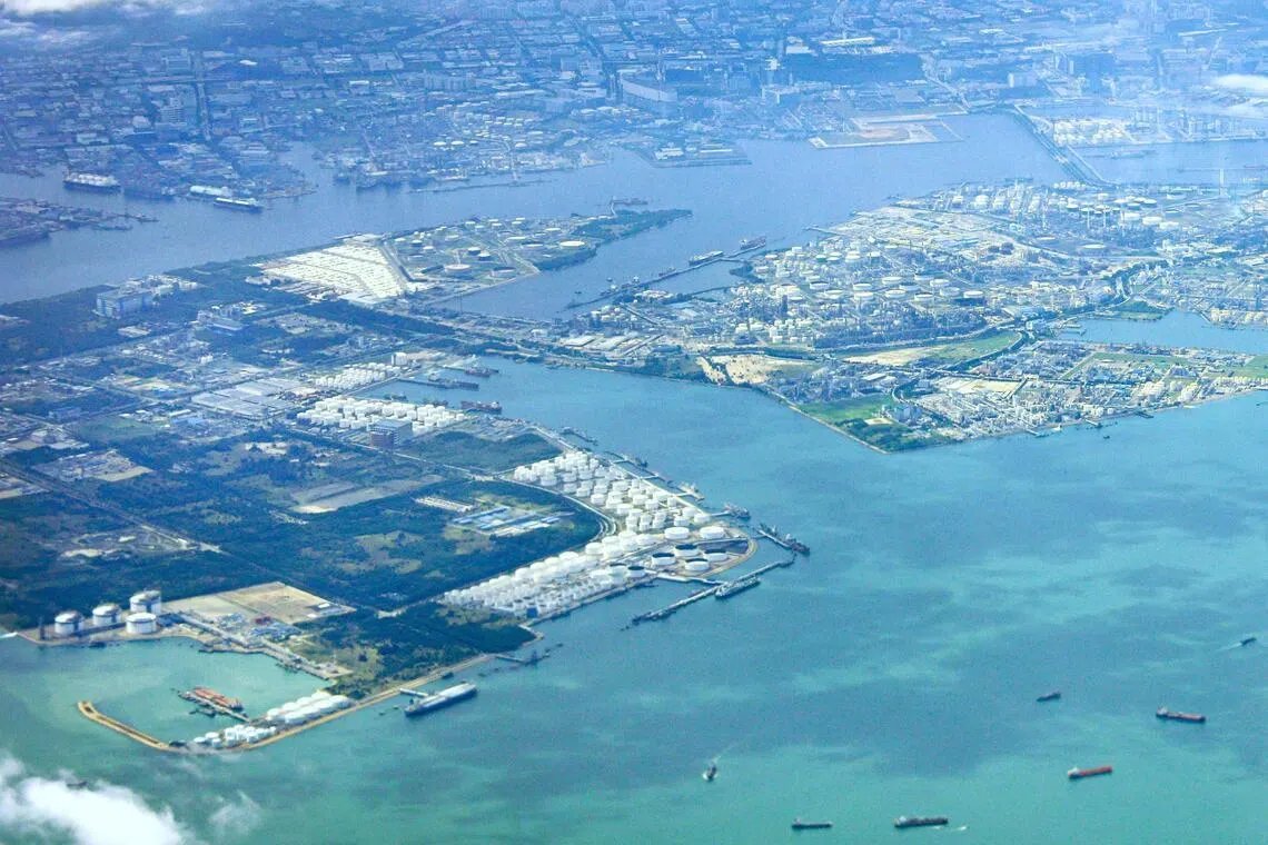 Jurong Island Power Plant: Coral Impact Study Sparks Debate