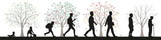 Baby Boomers and the Stalling of American Lifespans