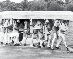 Stray Deer in Sedgley Sparks Nostalgia: Letters and Local Memories