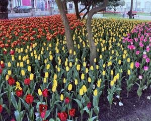 Greenville Chamber Hosts Coffee & Connections Networking Event