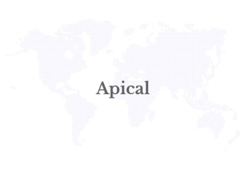 Apical's Sustainable Living Village Programme Expands in East Kutai: Planting 30,000 Trees