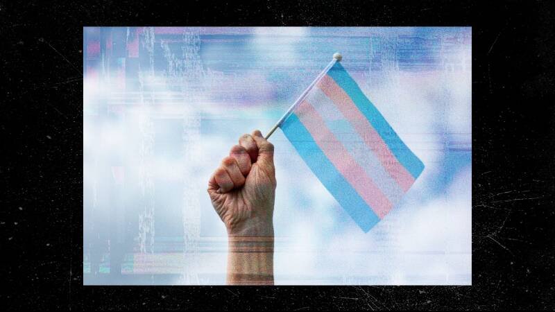 Trans Visibility Under Attack: Why It Matters and What's Next
