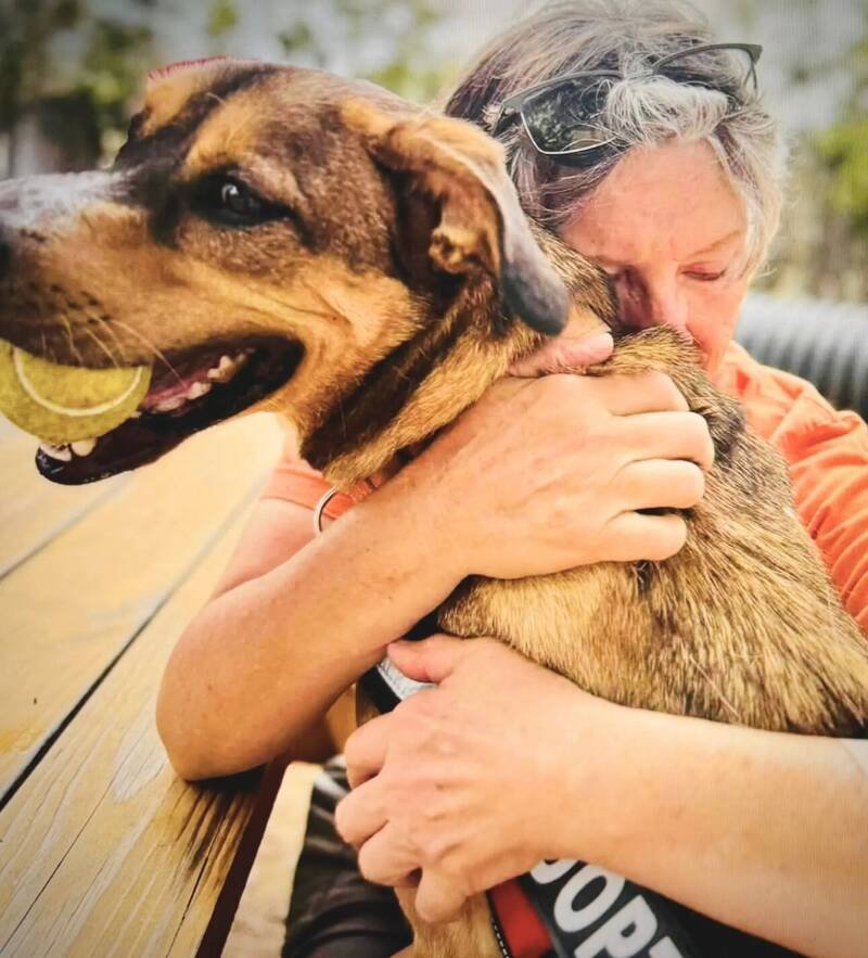 Therapy Dogs in Schools: Benefits, Impact, and Future