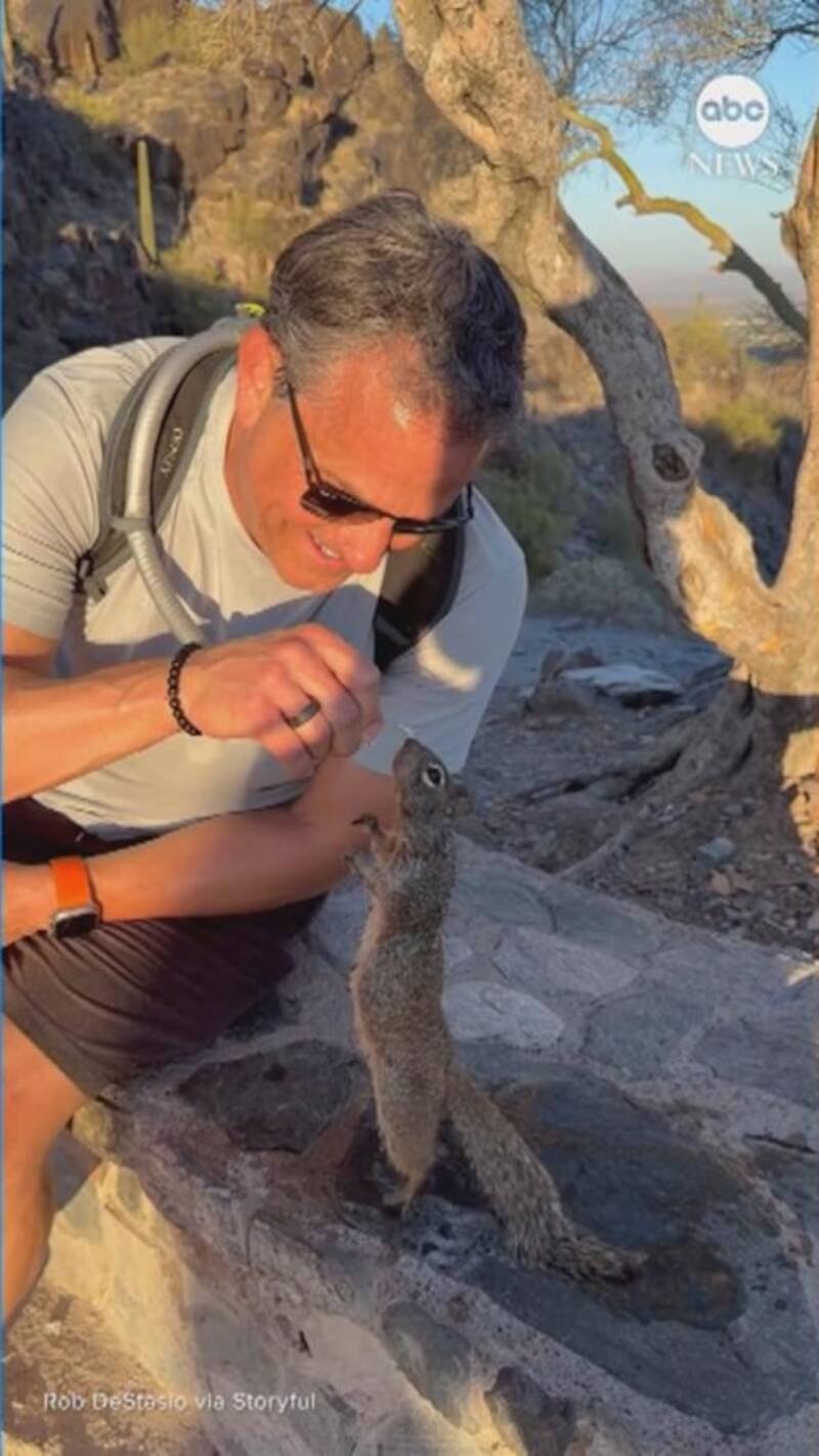 Man Shares Water with Thirsty Squirrel: Why It Matters