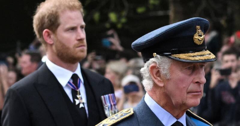 King Charles, Prince Harry US Visit Snub: What It Means