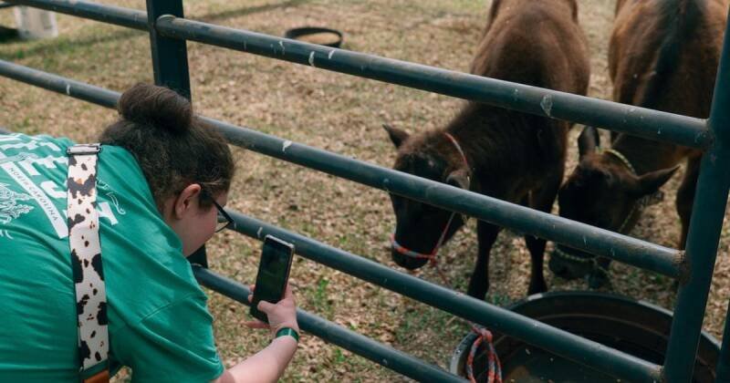 University of Mount Olive AgFest Connects Students to Agriculture's Future