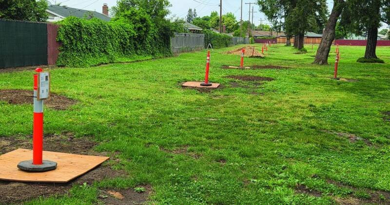 Lodi Legion Park Tree Planting: Community Invited for Arbor Day