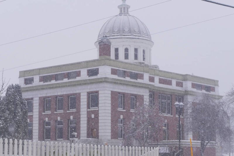 BC National Park Dog Fines: Understanding the Impact and Future