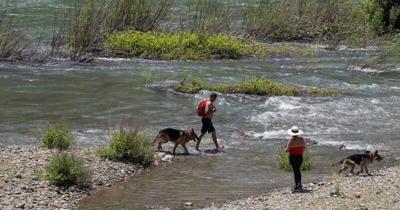 First-Come, First-Served Campsites in California: Your Guide to Last-Minute Camping