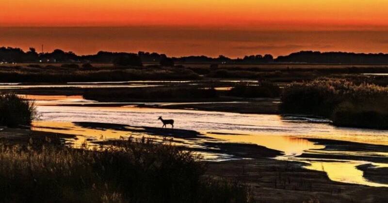 Kearney Photography Exhibit Showcases Local Talent: Why It Matters