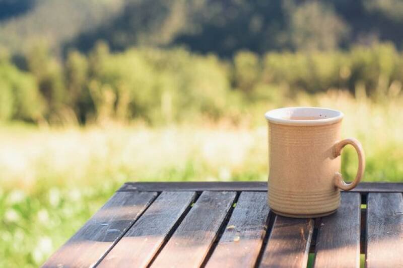 Upcycle Your Garden: Give Old Mugs and Teacups New Life This April!