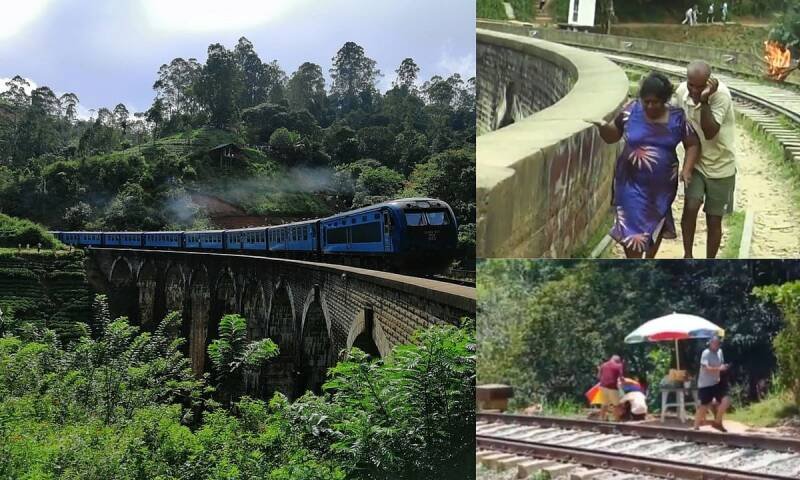 Wasp Attack at Sri Lanka's Nine Arch Bridge: Tourist Safety Concerns