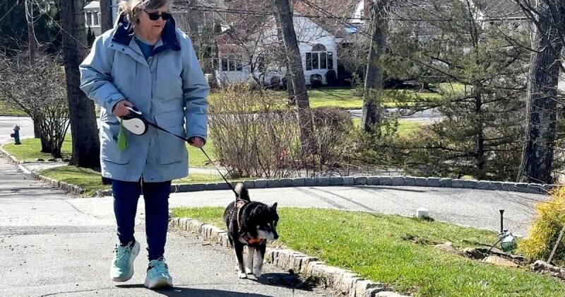 Senior Gig Workers: Why Retirees Are Returning to Work