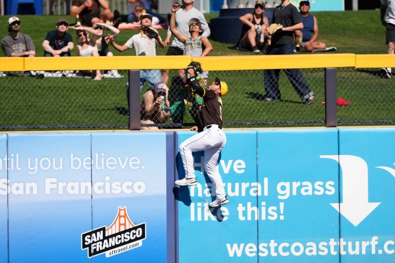 Peoria Sports Complex Hot Dog Sales: What Does It Mean for Baseball?