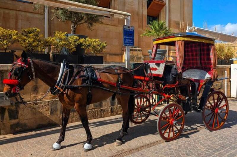 Discover Malta: History, Culture, and Delicious Food Await