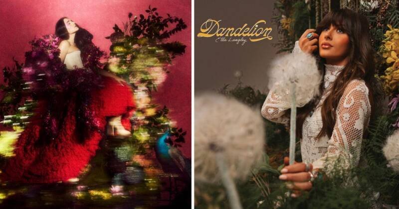 What to Stream This Week: Sydney Sweeney, 'Malcolm in the Middle,' and More