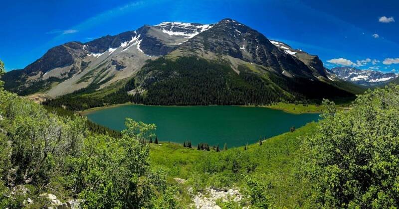 Modernizing the Roadless Rule: Why It Matters for Our Forests