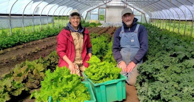 Mason City Fundraiser Supports Food and Farming Non-Profits - Why It Matters