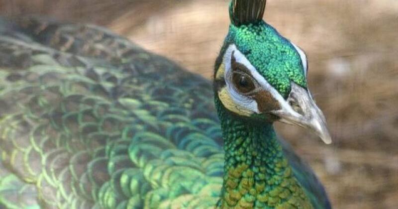 Community Events Update April 2024: Local News and Impact