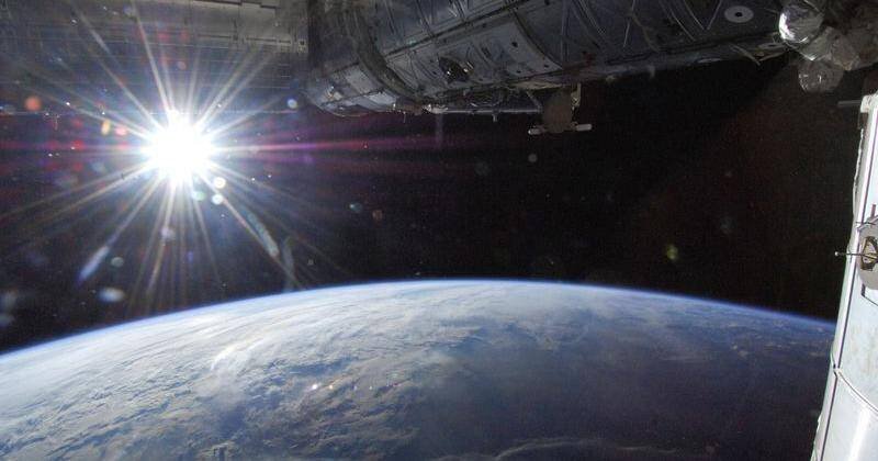 Space Sperm: How Gravity Impacts Reproduction in Space