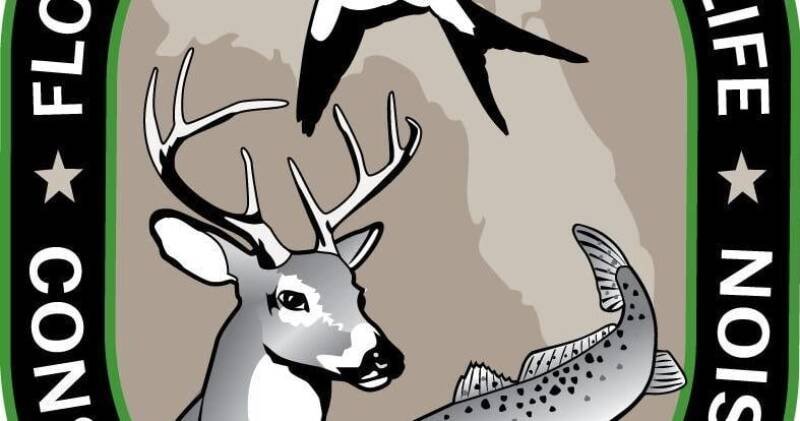 Crystal River Boating Accident: What Happened and Why It Matters