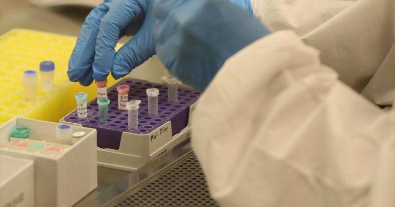 Ontario's New COVID Variant 'Cicada' BA.3.2: What You Need To Know