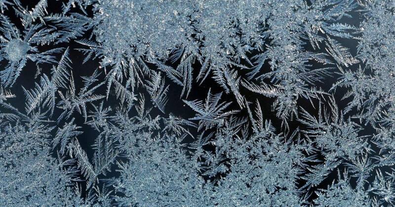 Frost Advisory for Forsyth and Guilford Counties: What You Need to Know