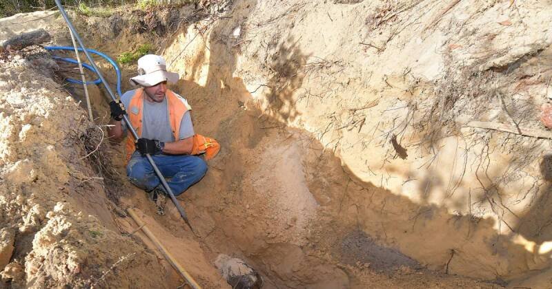 Tortoise Conservation: How Deep Digging is Helping Save a Species