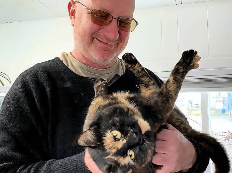 Missing Cat Georgie Reunited with Family After 2 Months and 30km Journey - A Heartwarming Tale