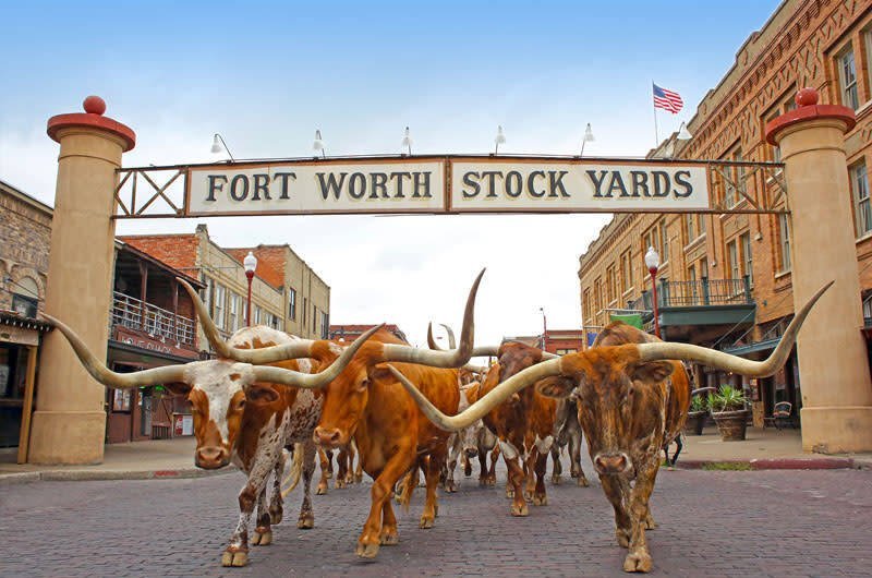 Fort Worth Food Tour: BBQ, Southern Comfort, and Cowboy History