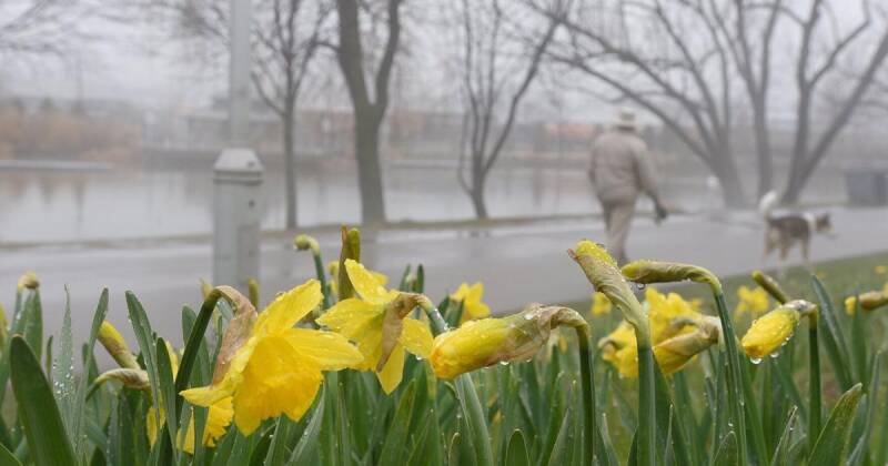 Ontario Weekend Weather: Snow, Rain, Sun - A Weather Rollercoaster!
