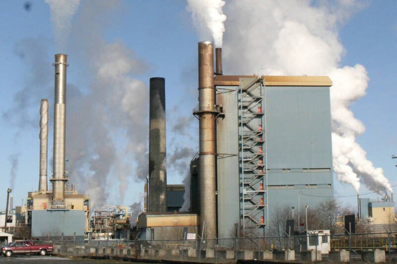 BC Government Eases Carbon Tax for Pulp Mills: A Deep Dive