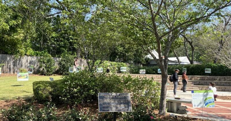 Commerce Public Library Plant Swap: Everything You Need to Know