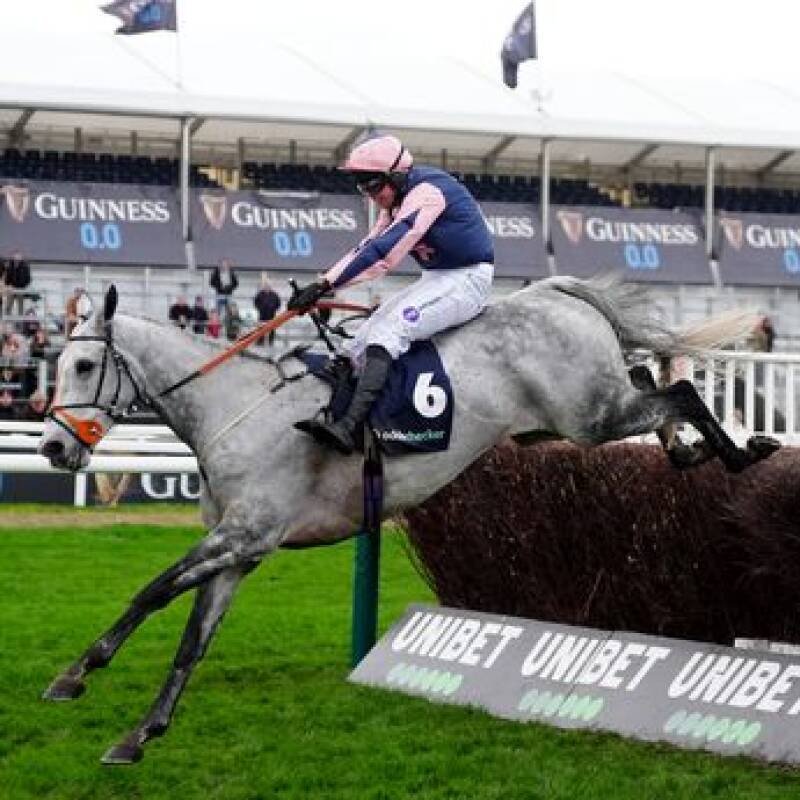 Grand National 2026: Grey Horses and Why They Matter