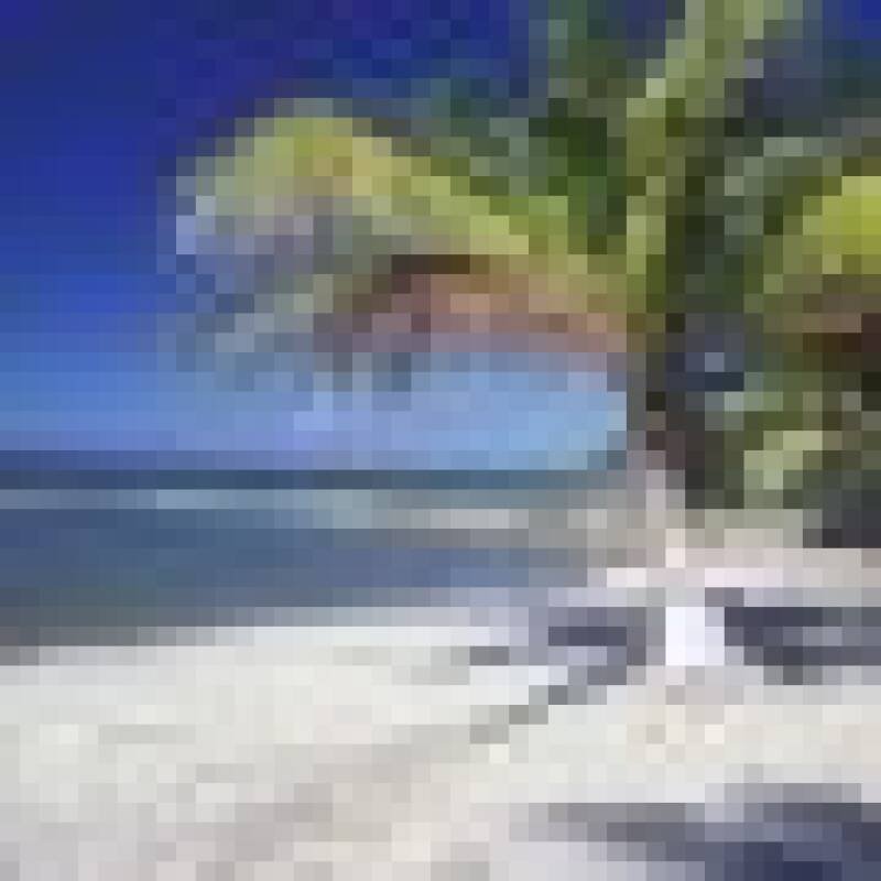 Plexcon 2017: A Company Retreat Gone Horribly Wrong - Analysis & Future Implications