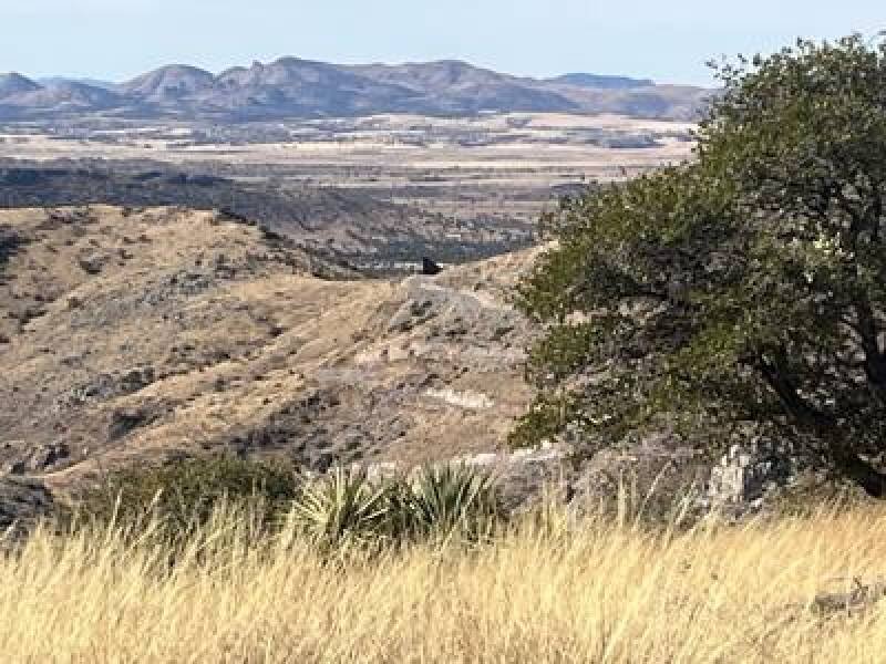 Yaqui Ridge Trail Closure: Border Wall Construction Disrupts Coronado National Memorial