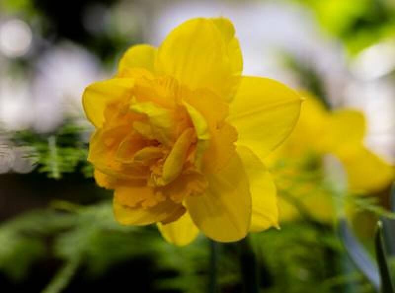 Funeral Services Scheduled for Thursday: What You Need to Know