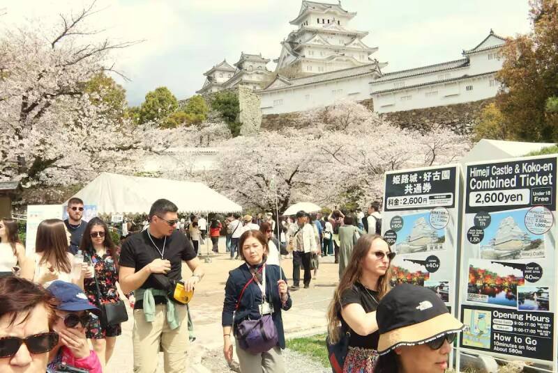 Himeji Castle Dual Pricing: Success or Short-Term Fix?
