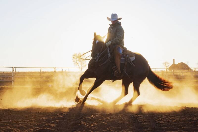 Pharr, Texas: The Unexpected Retirement Hotspot You Need to Know About