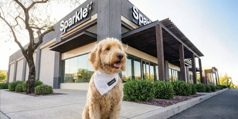 Sparkle Grooming Co. Hits 500 Franchise Licenses: What It Means for Pet Owners