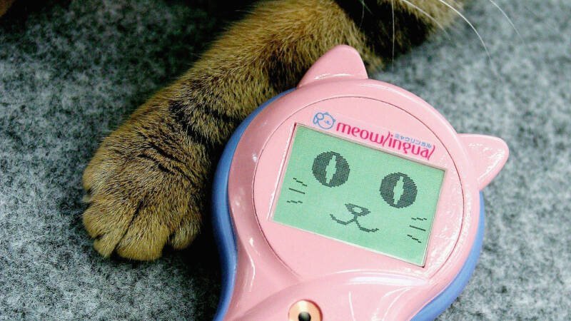 Weird Tech Gadgets That Flopped: Why They Failed & What We Learned