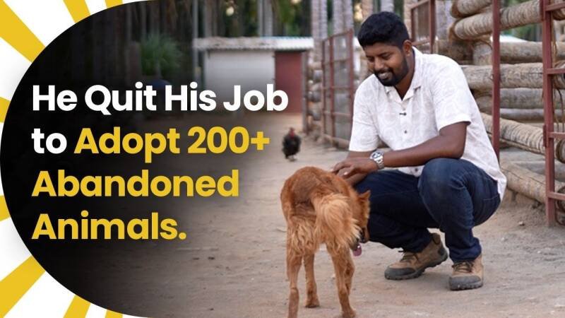 Man Quits Job, Rescues 200+ Abandoned Animals: A Story of Hope