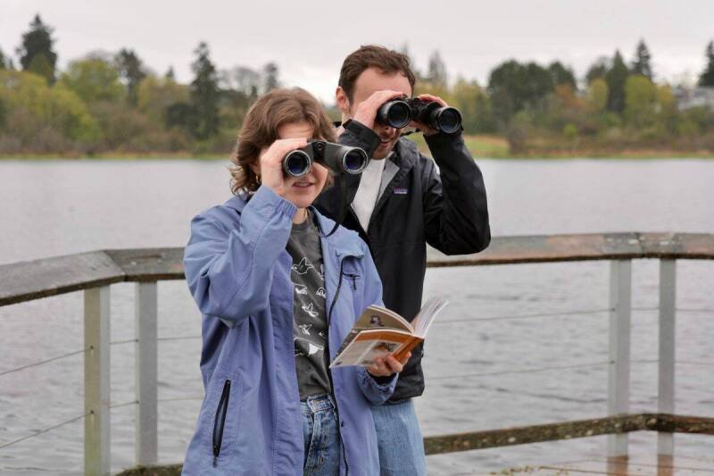 Bird-Watching Game "Flock Around" Soars with $50K Grant: What it Means for Indie Game Development