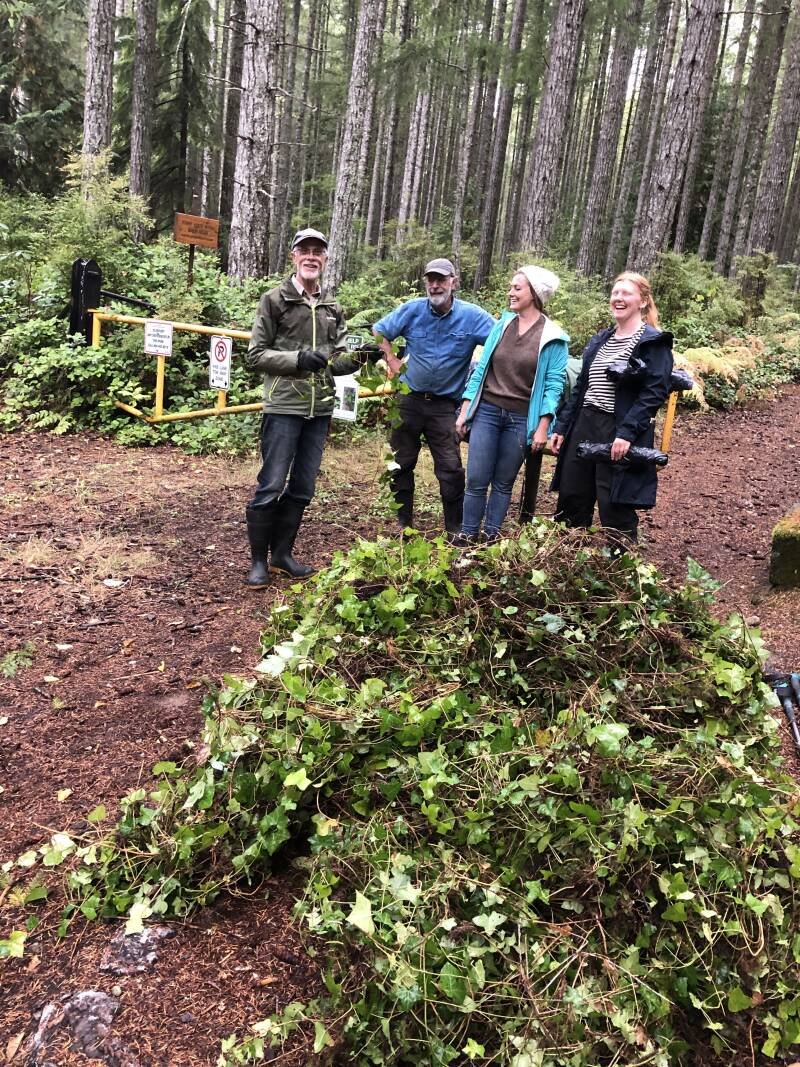 Invasive Ivy Removal: Protecting Valentine Mountain and Local Ecosystems