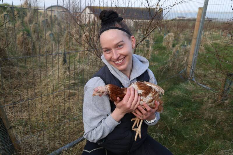 Deerness Couple Rescues Battery Hens: Why It Matters for Animal Welfare