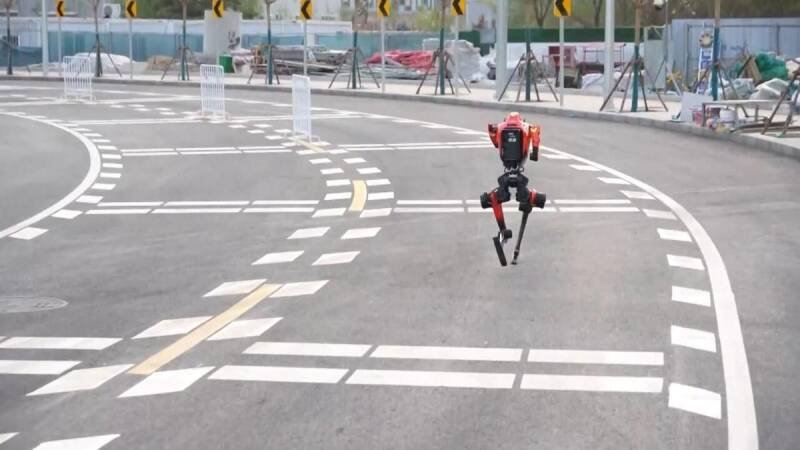 China's Robot Half-Marathon: A Leap for Humanoid Technology