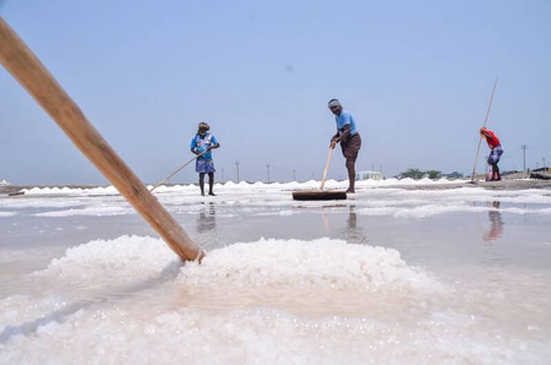 Potassium Salt Substitutes: A Healthy Shift for India?